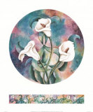 Calla Lilies