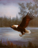 Eagle Fishing