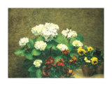 Hydrangea and Pansies