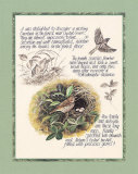 Bird Study