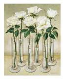 White Roses