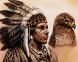Young Hawk