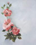 Pink Rose Swag