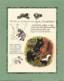 Bear Study