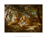 Leopard with Cub