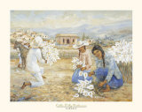 Calla Lily Gatherers
