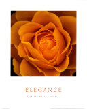 Elegance