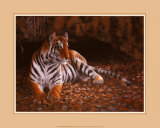 The Tiger's Lair