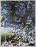 Eagle in Winter Scene