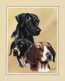 Dog Collage II