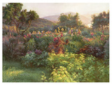 Vista I