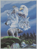 North American Wildlife