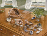 Seashells II
