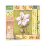 Magnolia Bloom