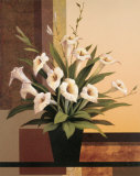 Cala Lilies