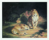 Pair of Leopards