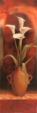 Potted White Calla Lily