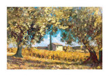 Cabanon