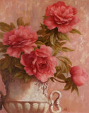 Pink Roses