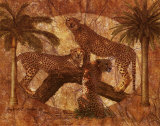 Jungle Cheetahs