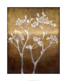 Sunset Silhouette II