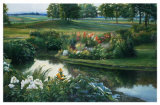 Spring Meadow