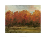 Auburn Vista II