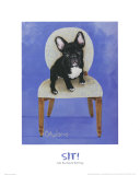 French Bull Dog