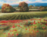 Fields of Provence II