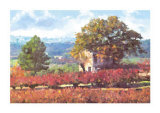 Bastide