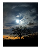 Haunted Moon