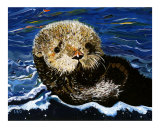 Sea Otter