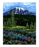 Mt Rainier Blue and Red Flowers