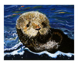 Sea Otter