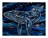 Humpback Whale