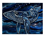 Humpback Whale