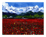 Tulip Field