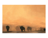 Buffalo At Dusk