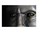 Watcher