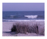 Myrtle Beach at Dawn