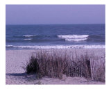 Myrtle Beach at Dawn