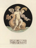 Cherub on Dolphin with Trumpet I