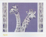 Two Giraffes