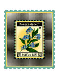 Forget Me Not Flower