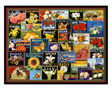 Vintage Flower Seed Packs