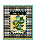 Forget Me Not Flower