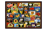 Vintage Flower Seed Packs