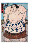 Sumo Yokozuna II