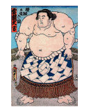 Sumo Yokozuna II