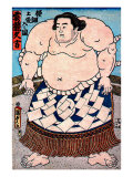 Sumo Yokozuna II